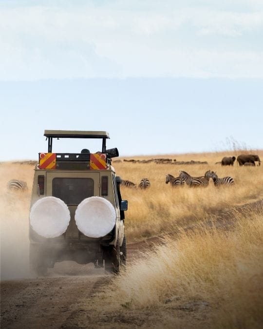 Safaris Test Edu 3