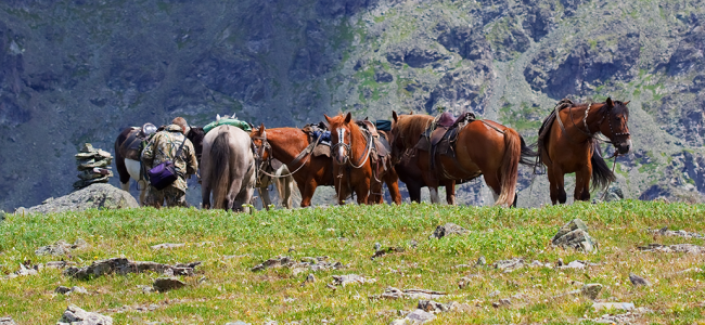 saddled horses mountains 1 650x300 Viajar Solo