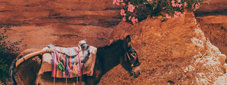 El Tesoro de Petra, símbolo de un viaje a Jordania